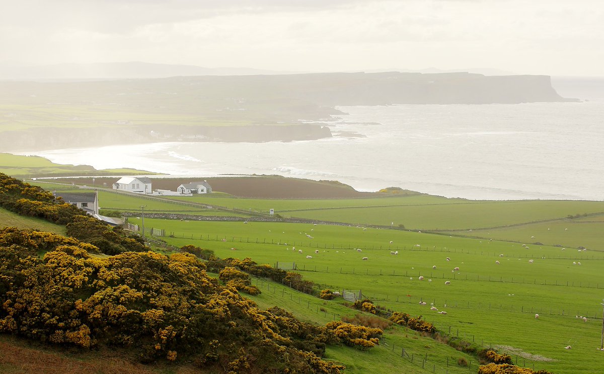UFUHQ's tweet photo. #Localanuary
Support local &amp; help develop tourism in NI 
Many farms have diversified their business into another area, offering tours and classes amongst other things. This is a great way to help generate and grow tourism in your local area which will benefit everyone. https://t.co/BHaAe9xKQI