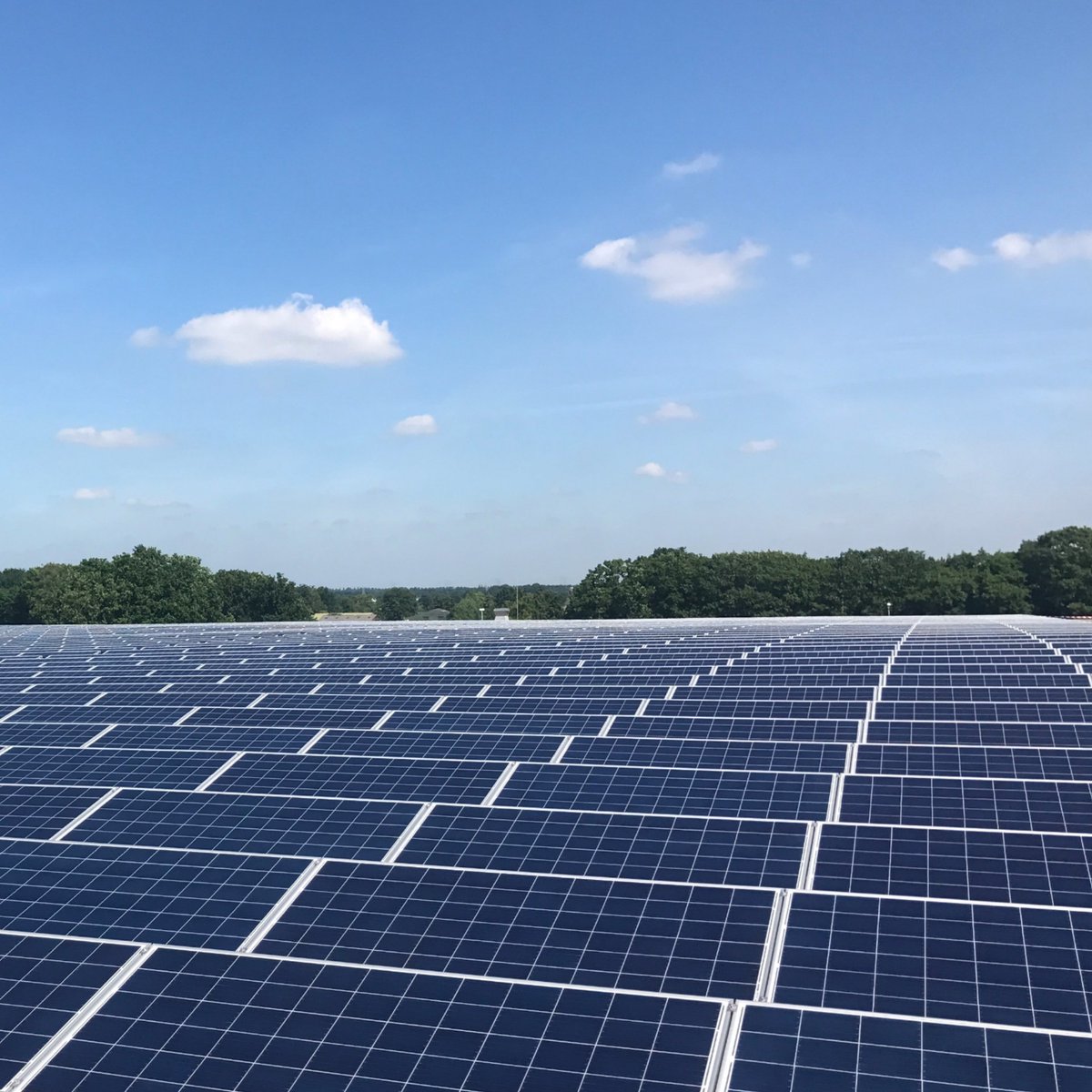 Mooie opdracht ontvangen voor het reinigen van 1653 zonnepanelen in Steenwijk en in 3256 zonnepanelen in Biddinghuizen. Ook uw zonnepanelen laten reinigen? Vraag vrijblijvend een offerte aan.
hzreiniging.nl