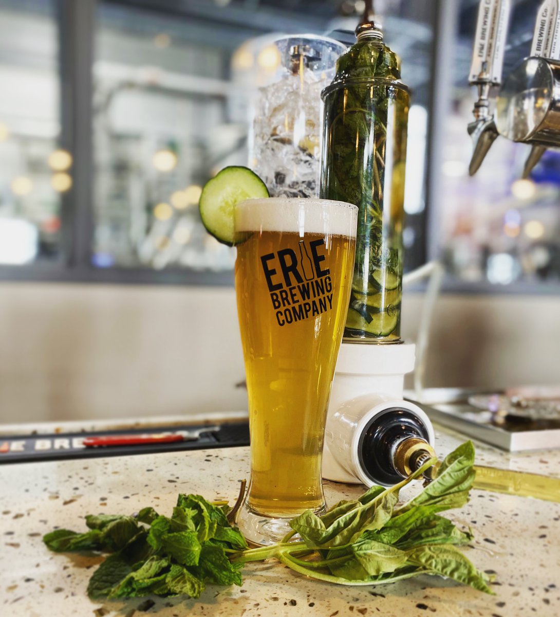 It’s plain to see, we’re mint to be. 🌿🥒
•
•
•
➡️ Mint + basil + cucumber in the Presque Isle Pilsner today! <a href="/PubAndPie/">Pub & Pie</a> <a href="/BreweriesinPA/">Breweries In PA</a>