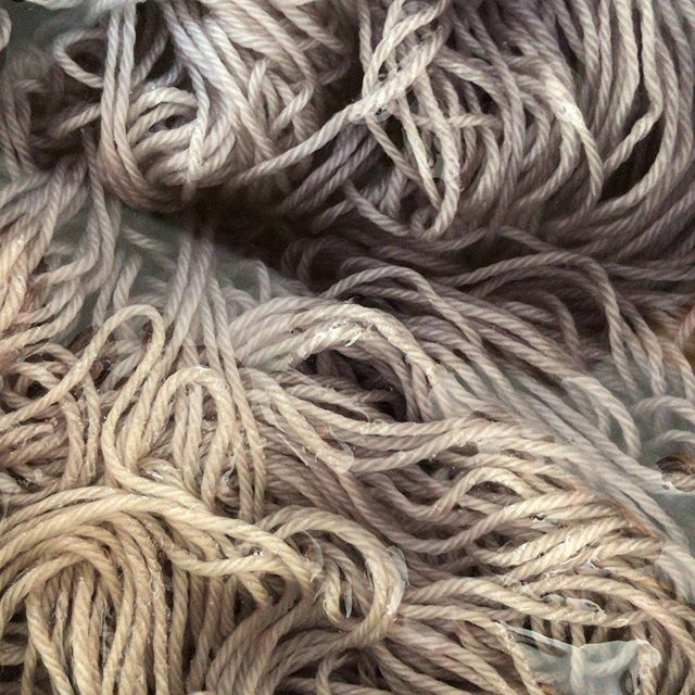 toiltrouble's tweet photo. Current dye pot: subtle tones 
#toilandtroubleyarn #indiedyersofinstagram #indiedyer #indiedyedyarn #handdyedyarn https://t.co/zmoxEmHavY https://t.co/qd54Ey7jrl