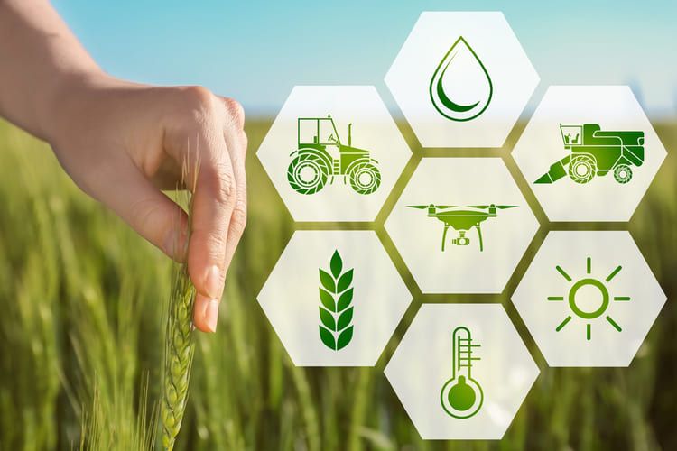 The main challenge for the agricultural sector is to reorient towards innovative and sustainable production. #agritech #agriculture #tech #bigdata
buff.ly/36jRfHj