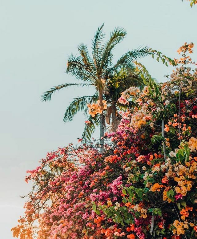 HonestlyMargo's tweet image. Appreciate the beauty around you today 💕 ift.tt/2tBmyAd