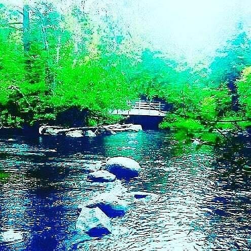 RFootsteps's tweet image. Waterfalls - Waterfalls! Marinette County Waterfall Tour - you have to check it out#chasingwaterfalls #waterfalls #Wisconsin #marinette #hiking #camping #hikingadventures ift.tt/2RnOLn8