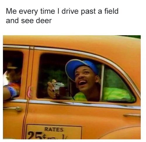 altahunthelp's tweet photo. #DeerHunter #problems #DeerVision #Staring taking pictures #gock #stare #WildGame https://t.co/TU6YO4HuwL