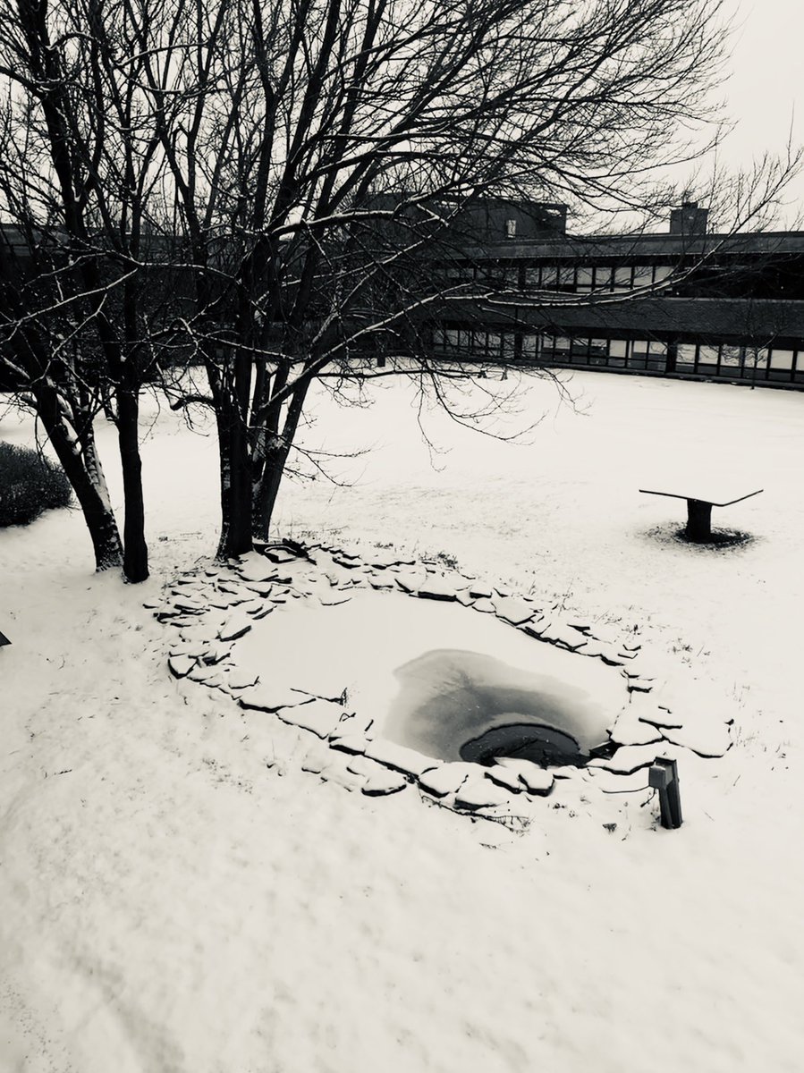 Thomas Maguire (@captaintmag) on Twitter photo 