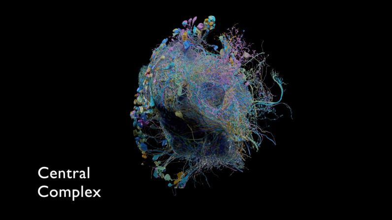 Biggerpan tweet media