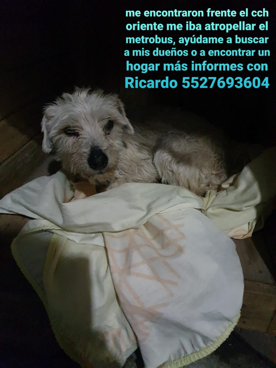 Ruben Palher tweet media