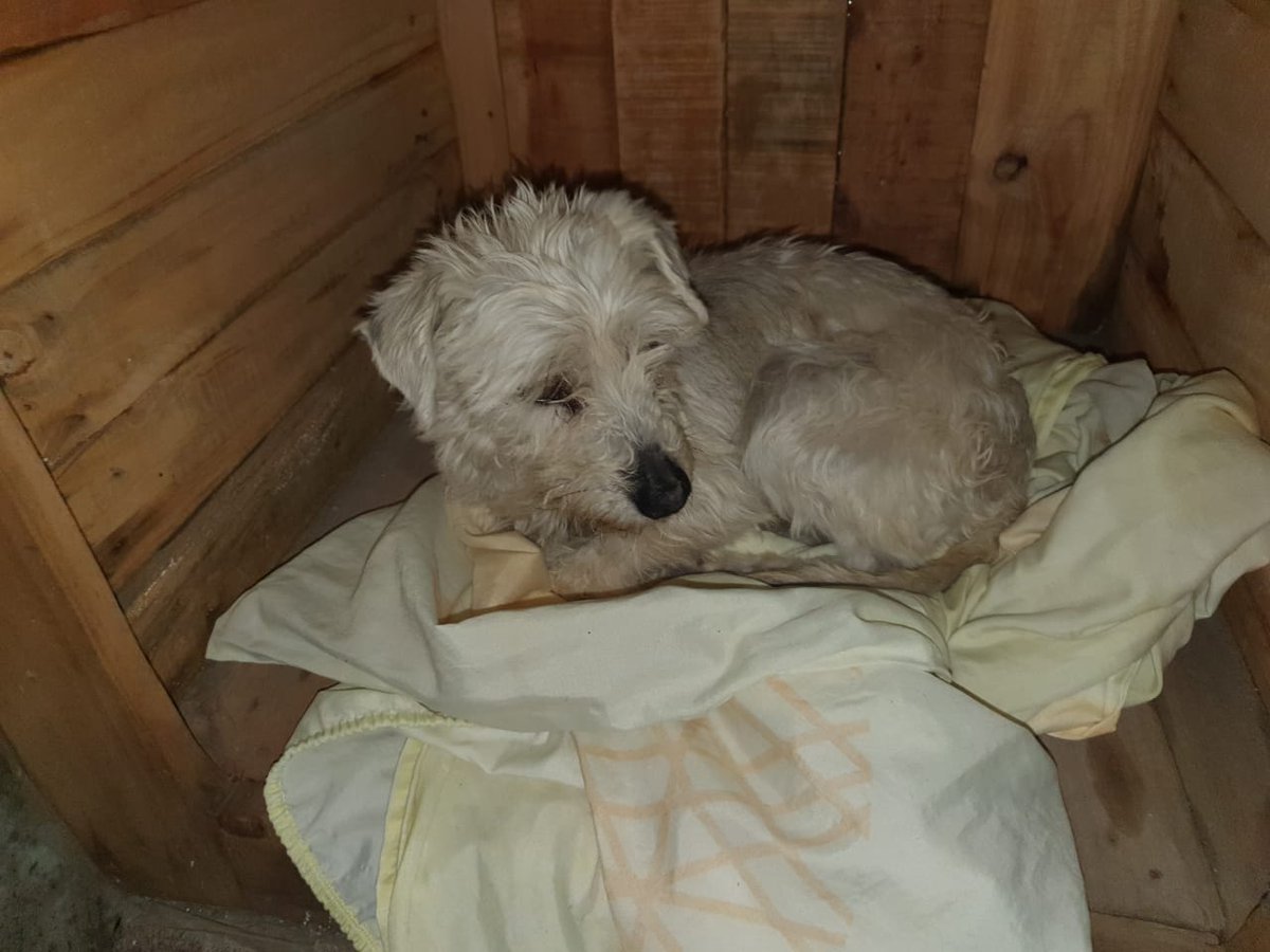 Ruben Palher tweet media