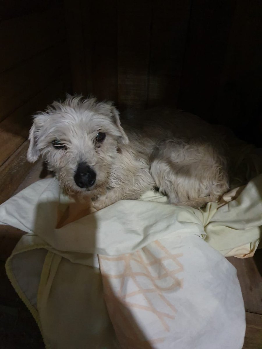 Ruben Palher tweet media