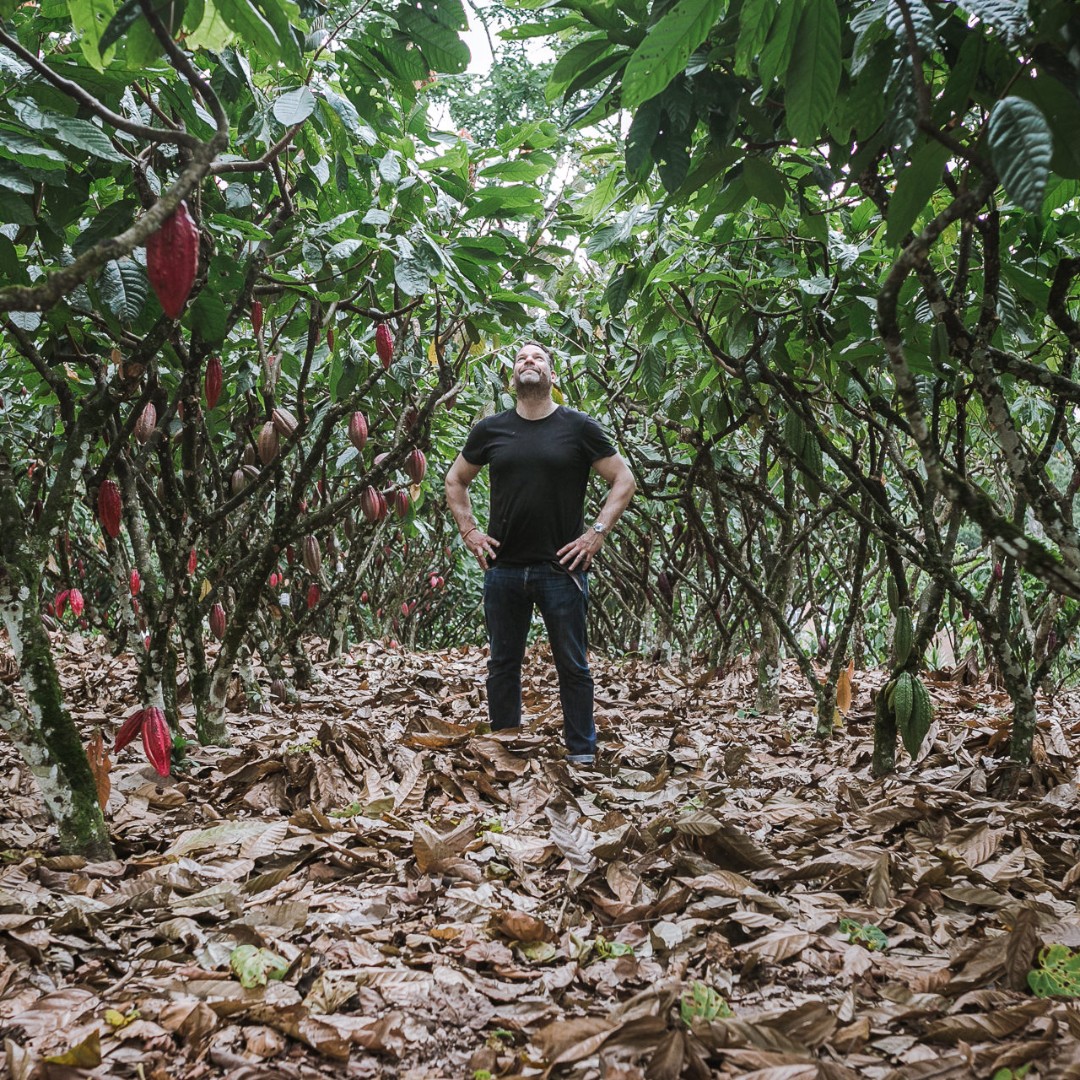 CoxCocacao's tweet image. In 2018, our founder, Gavin, got to visit the Casa Luker Foundation in Columbia and see firsthand how they are changing the landscape for cacao farmers. 

#ethicallymade #knowtheorigin #conciousshopping #sustinableproducts #chocolate #ethicallysourced