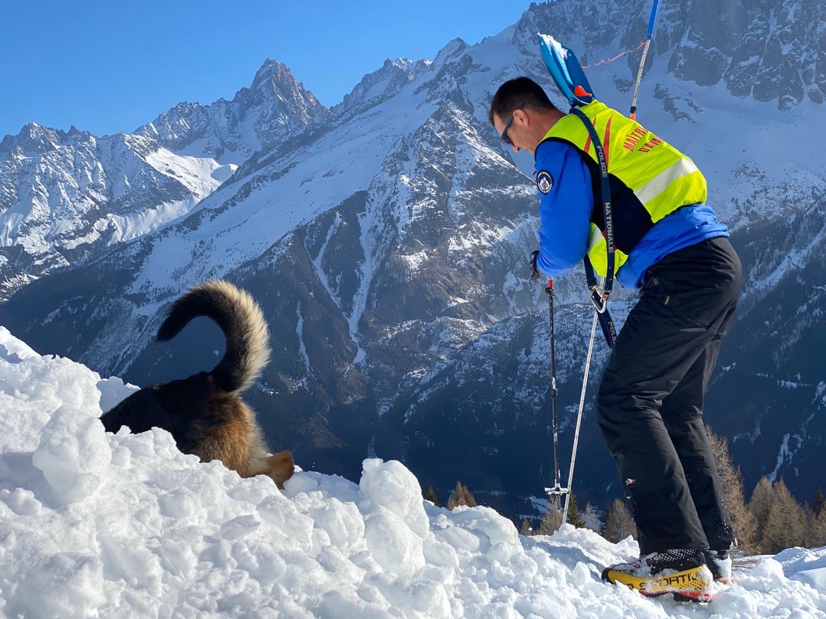 PoliceNat74's tweet photo. Mais à quoi jouent-ils dans la neige ?

Au secours en montagne ! BALTO s’exerce ici à trouver une personne ensevelie sous une avalanche. Avec 7 autres équipes cynophiles, il s’entraîne avec son maître à sauver des vies, formé par les instructeurs @CRSMontagne de #Chamonix https://t.co/uLrTVdXz3j