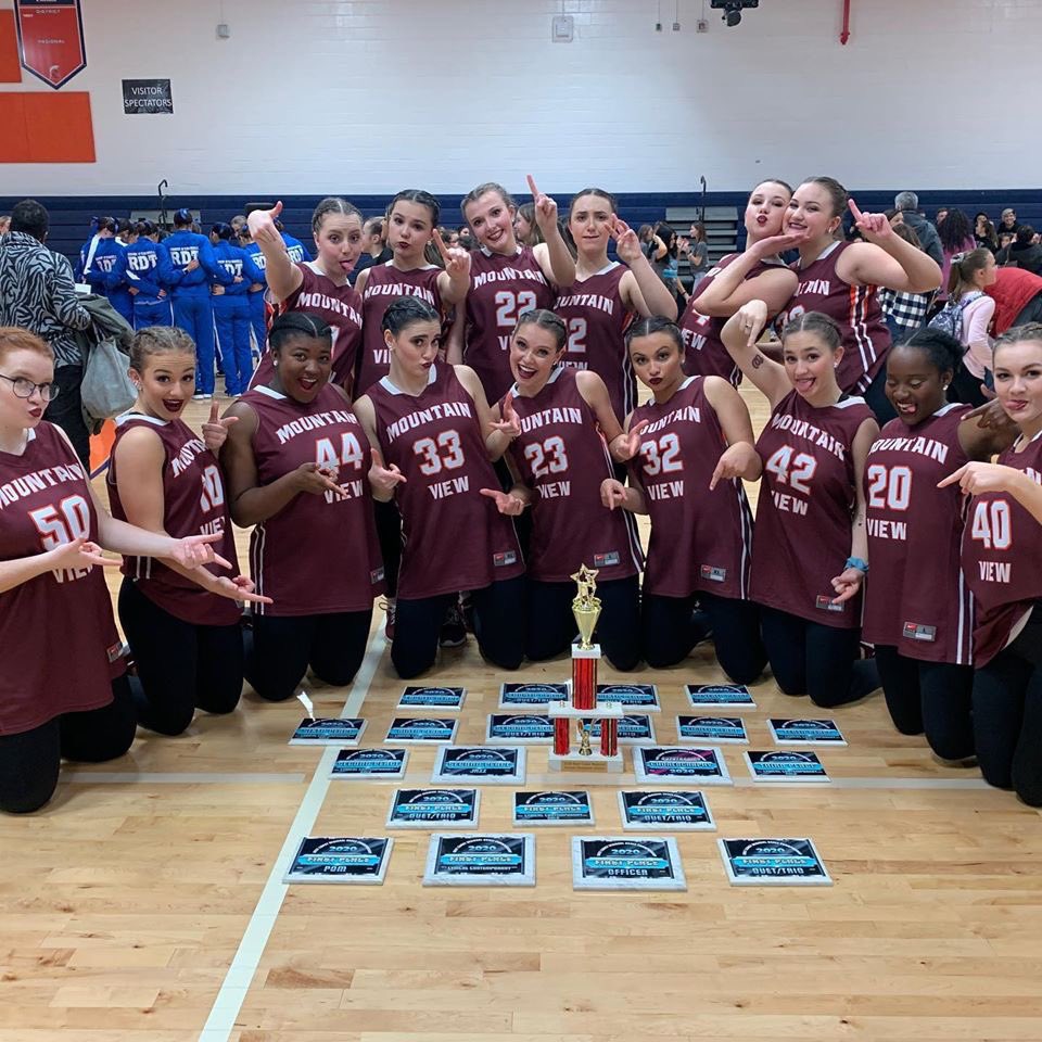 mountainviewdt's tweet photo. Results from MVDT’s last three competitions!!🐾🧡 https://t.co/LM5nwDjjT9