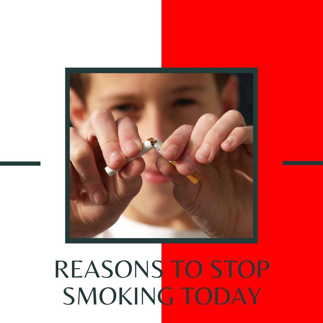 Pink and Dark Green Photo Artists & Illustrators Influencer Asymmetrical Instagram Post Set.png