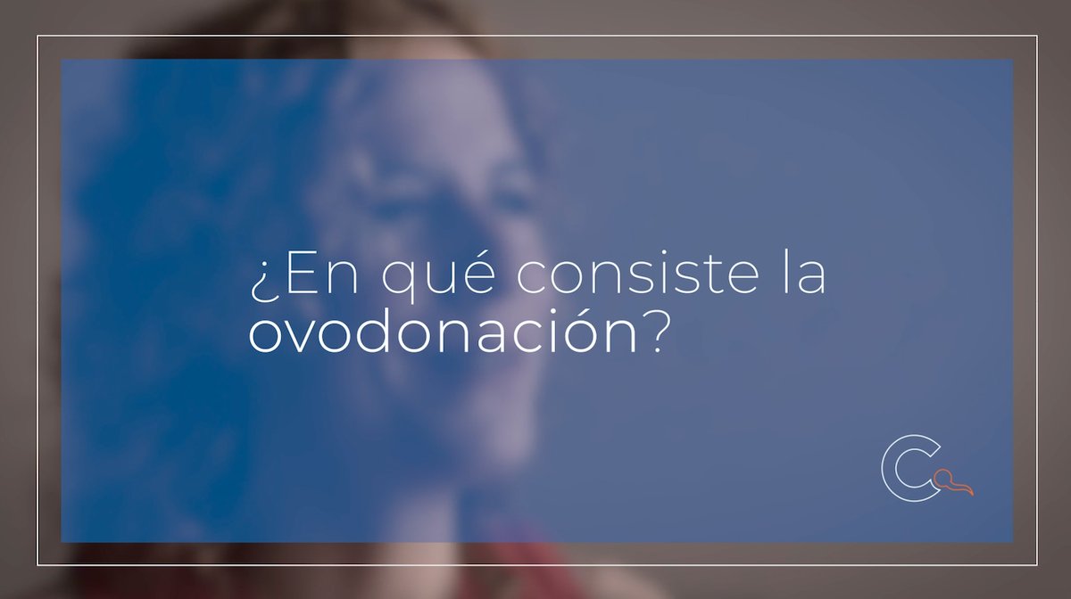 Crea Valencia tweet media