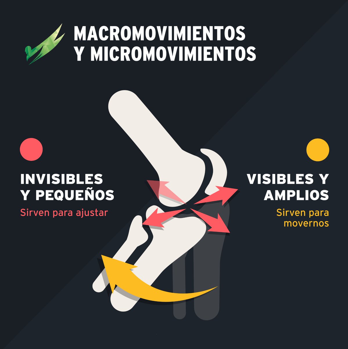 🏃 Macrovimientos y Micromovimientos 🤸‍♂️
.
.
.
.
.
.
#infografia #orthosformacion #micromovimientos #macromovimientos #fitness