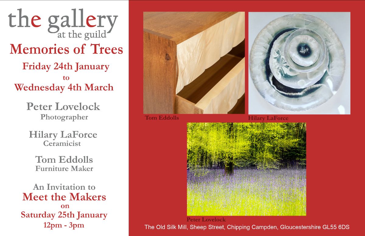 TheGallery@TheGuild tweet media
