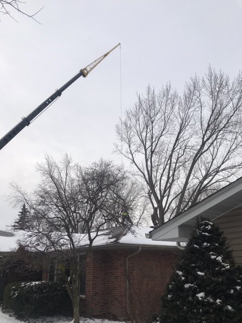 KramerTree's tweet image. Big cranes = big trees ... join our team and learn how to work on exciting projects like this one and have this be your daily office #cranework #professionalarboriculture #careersatkramer