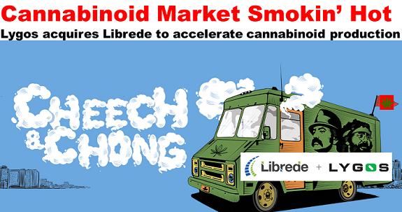 living_greendbd's tweet image. #Cannabinoid, meet #biochem – @LygosBiotech acquires #Librede to scale up and commercialize cannabinoid production : Biofuels Digest buff.ly/2TG2siN