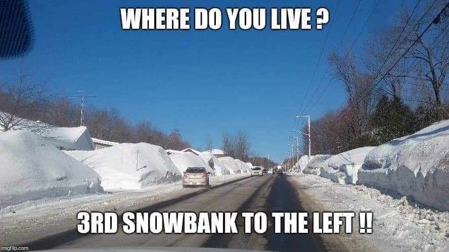Appropriate. #snowmegeddon2020  #nlblizzard2020