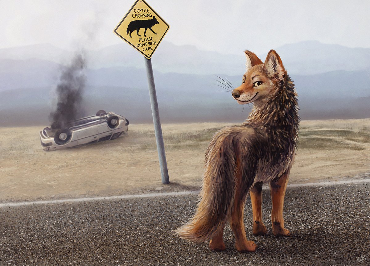 Beware! Coyote crossing! Please drive with care! 💥
