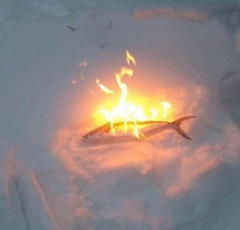 Hungy_ Boi_Racc tweet media