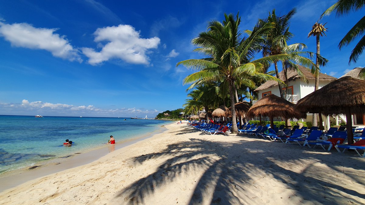 Sunscape Sabor tweet media