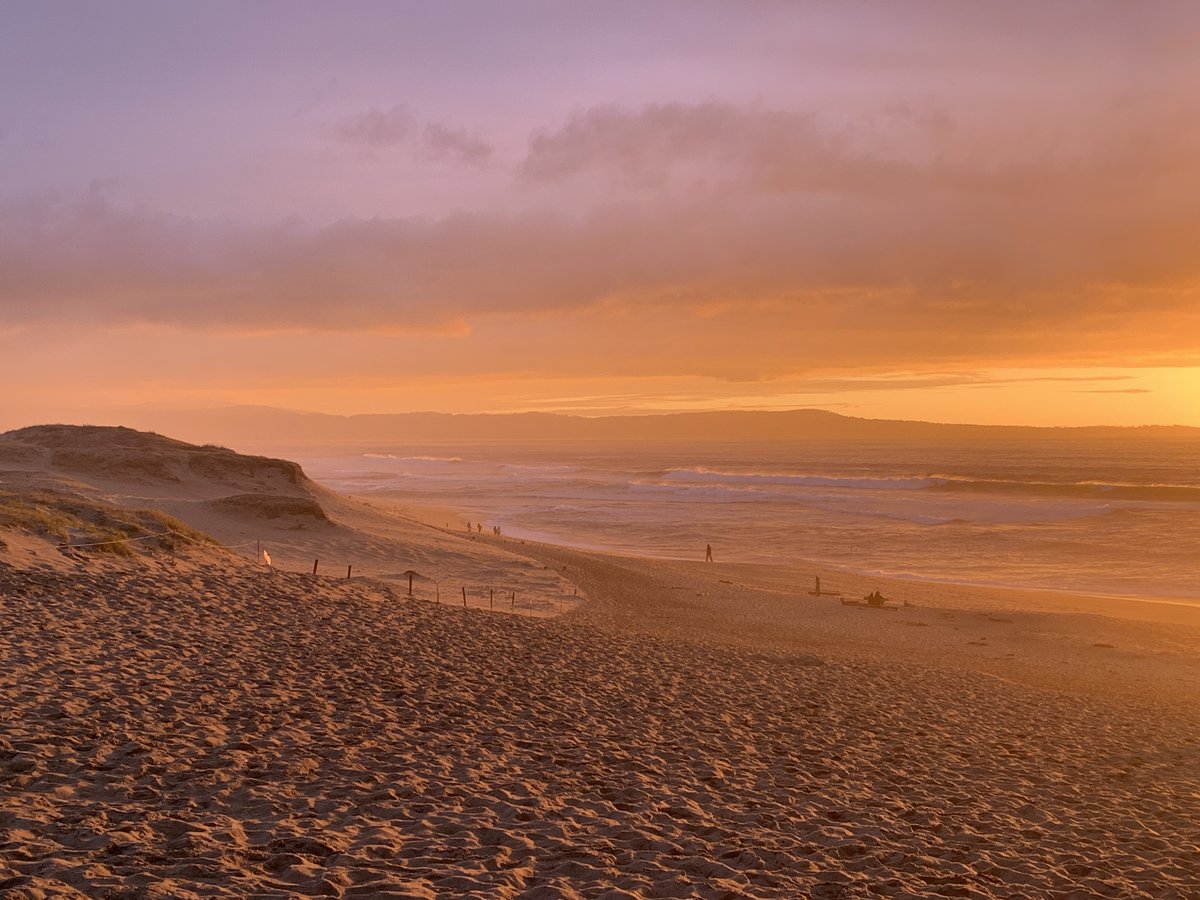 TCZmak's tweet photo. Last night's sunset: The sun dropped below the clouds and washed the beach in a beautiful, brilliant golden light. #MontereyBay #DarkSurf https://t.co/2zKQYdBDHF