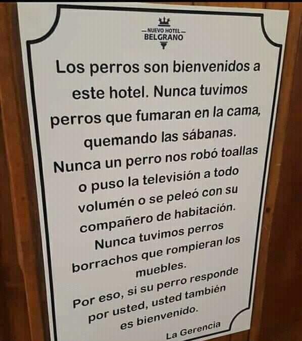Cuanto más conozco al hombre... (versión hotelera) 🐕