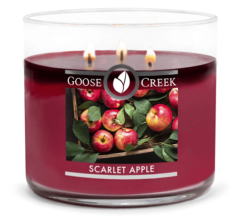 SF_Fundraising's tweet photo. 2020 Catalog Coming Soon! Featuring America's Best Candle!❤️ https://t.co/YZ4RjG8PfJ