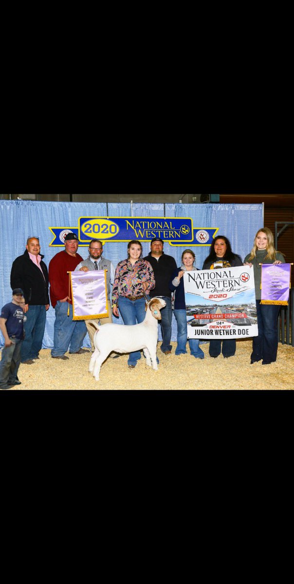 All the hard working starting to pay off!