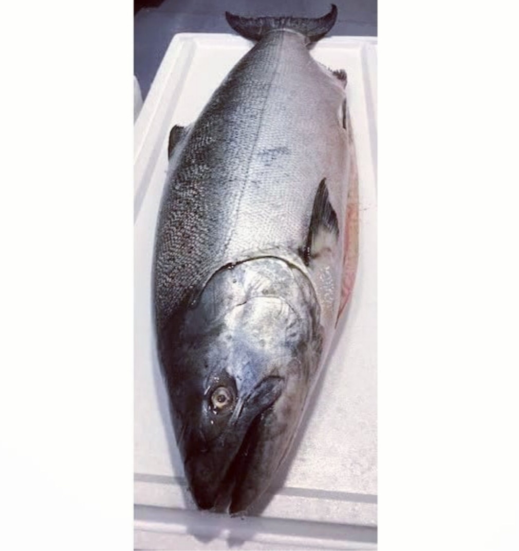 Morey's Seafood tweet media