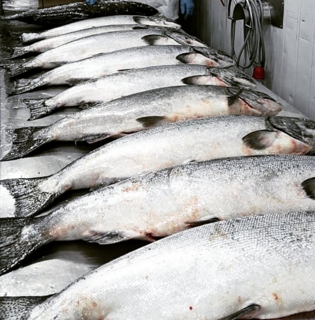 Morey's Seafood tweet media