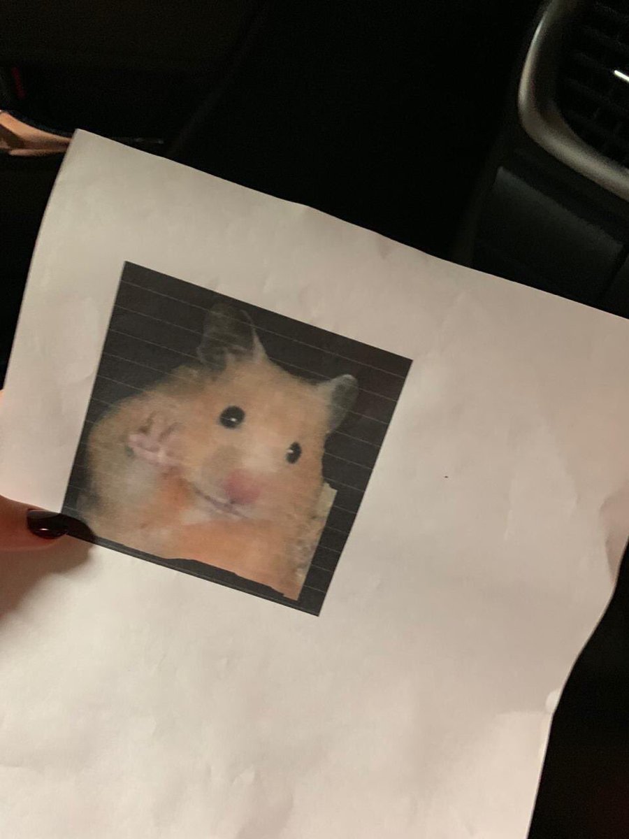 Capture Bizarre® (@capturebizarre) on Twitter photo 