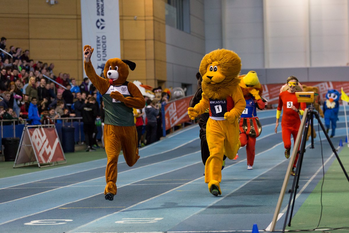 I've been training for this all year... do you think you can beat me! 🏋️‍♂️

Sign up for the BUCS Mascot Race now. This year we're continuing to support <a href="/dannyporterf/">DannyPorterFoundatio</a>. 🏆

👉bucs.org.uk/nationals/masc…