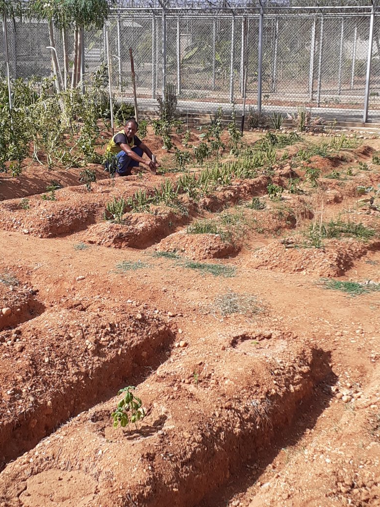 cpab11's tweet photo. CPAB mantenimiento y riego a las áreas agrícola por parte de los privados de libertad y supervisado por el ciudadano director Franklin Bejarano y su equipo de trabajo. https://t.co/ZsW9L7ASzK