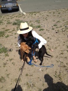 SBedellSmith's tweet photo. Meghan Markle in March 2013 on a beach in Malibu with her beloved Bogart and his brother pup Otto (still living in LA today). Both pooches were 6 months old then—now middle-aged at 7 years. Where’s Bogart now? https://t.co/BS36bSZ02j