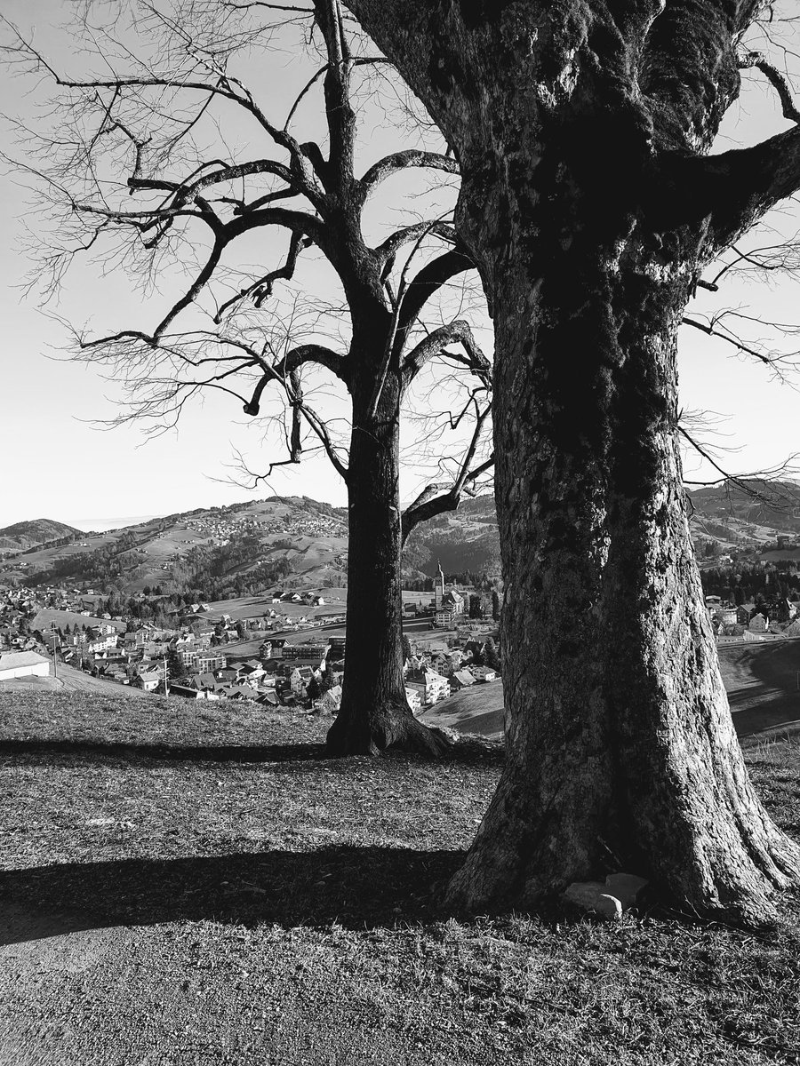 Latwerge (@latwerge) on Twitter photo 