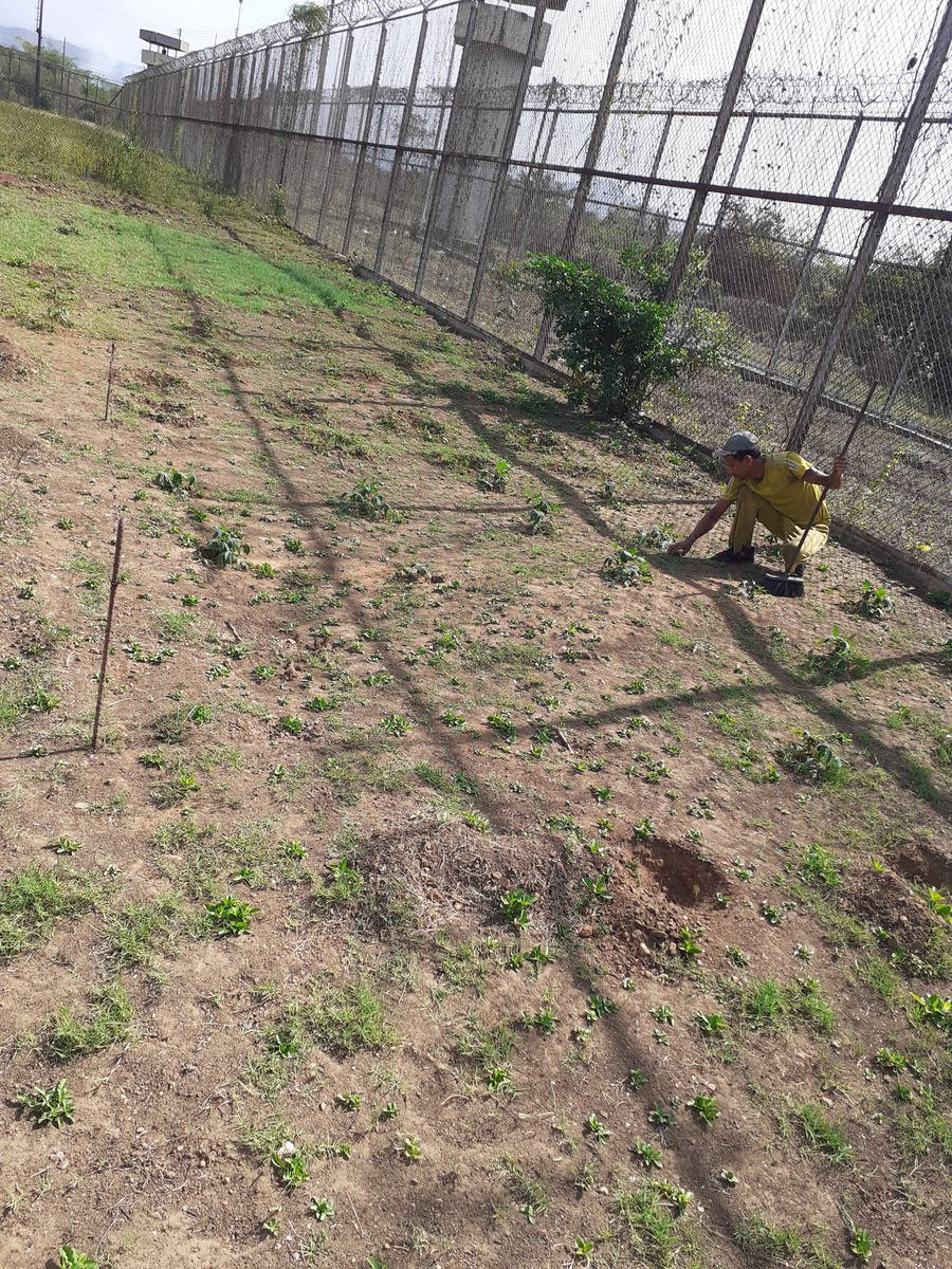 cpab11's tweet photo. Áreas verde agrícola del CPAB https://t.co/aE0cnfkIll