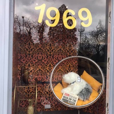 G C Johnson tweet media