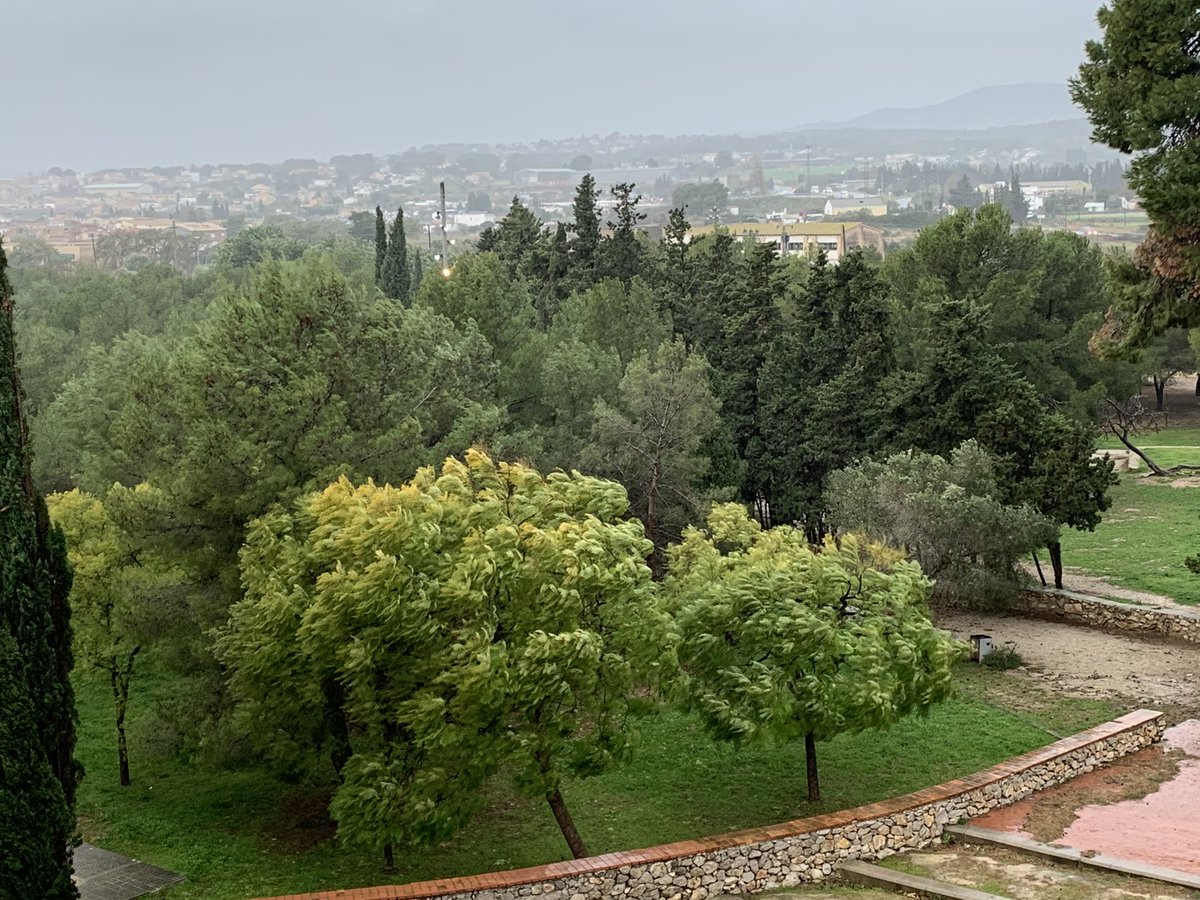 Protecció Civil municipal i el Servei d’Educació de l'Ajuntament de Vilanova i la Geltrú, com a mesura preventiva i atesa la previsió meteorològica, recomana que les famílies evitin portar als seus fills/es al centres escolars demà 22 de gener.