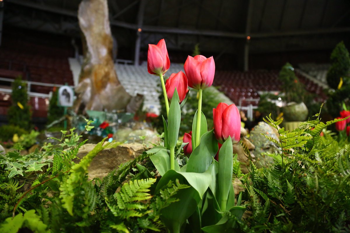 AR_Extension's tweet photo. In just 6 weeks, the state’s longest-lived celebration of #horticulture and #landscaping will return to the #Arkansas State Fairgrounds as the Arkansas #Flower and #Garden Show celebrates its 29th year. Check out what's in store at https://t.co/95LmEhUm70. @ArkFlowerGarden https://t.co/Xdae7pnPLP