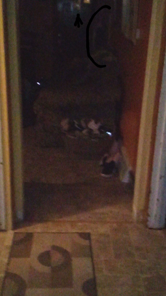 I glanced through a few this is shot after last it's cool as a rainbow 💩 coming up