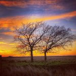 Photo by My East Texas (@MYETX)