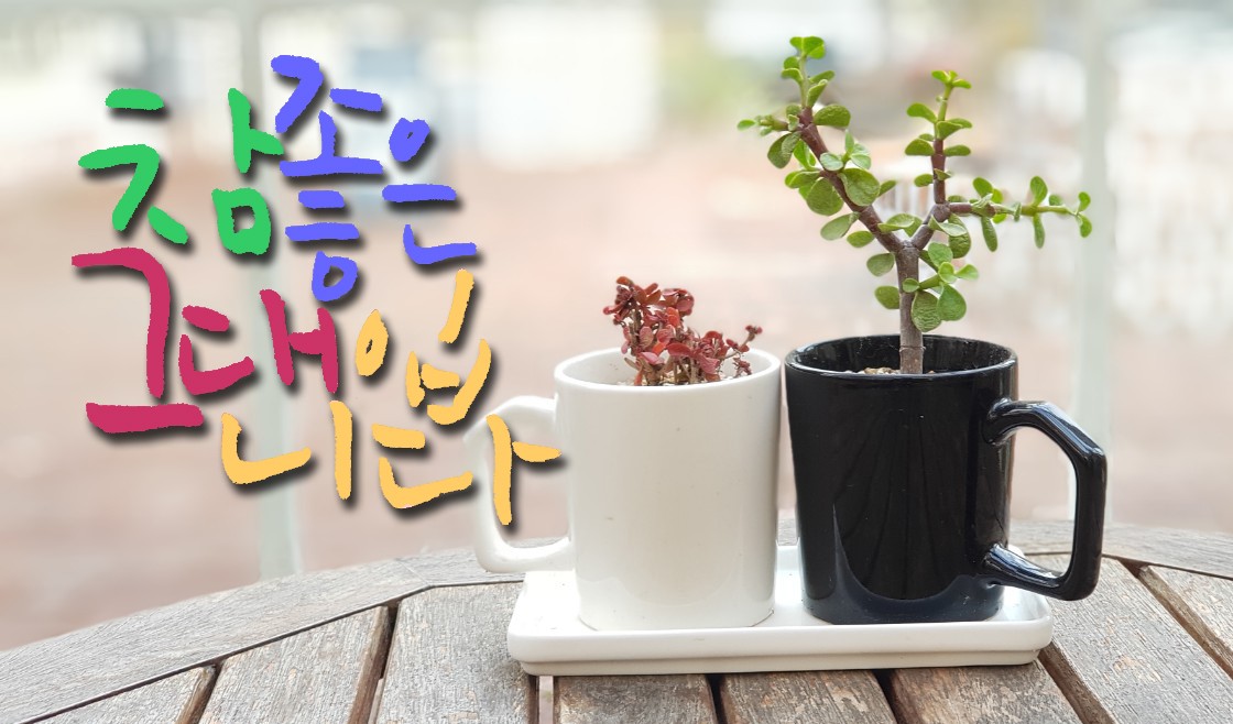 Deokcheon's tweet image. #참좋은그대입니다 #다육이화분
#좋은사람들과함께하는_공감캘리그라피  
#덕천_마음이살아있는_감성수묵캘리
#수묵캘리그라피
#전각 #포토샵_글씨효과주기 #ㅏ일러스트