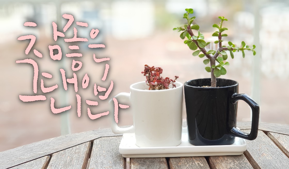 Deokcheon's tweet image. #참좋은그대입니다 #다육이화분
#좋은사람들과함께하는_공감캘리그라피  
#덕천_마음이살아있는_감성수묵캘리
#수묵캘리그라피
#전각 #포토샵_글씨효과주기 #ㅏ일러스트