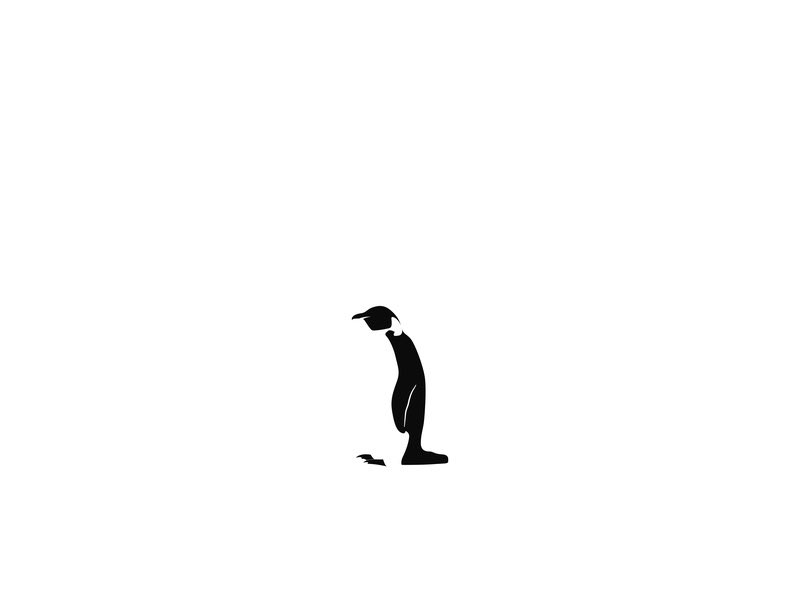ProjectsMotion's tweet photo. Watch this space! #Avalanche 2020 is the start of a new decade to have Avalanche shine. We are excited about the birth of this Penguin! #GlobalSocialImpact https://t.co/5GzhratSb2