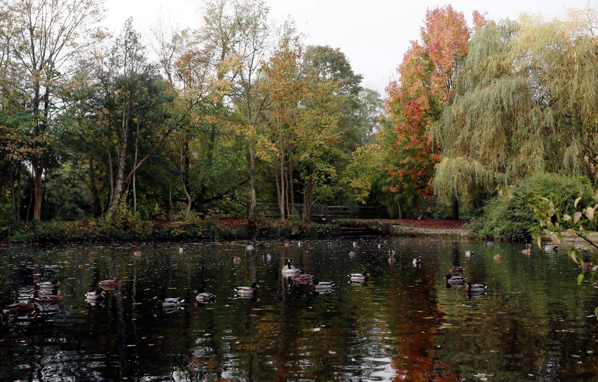 Outdoor scene, lake, trees