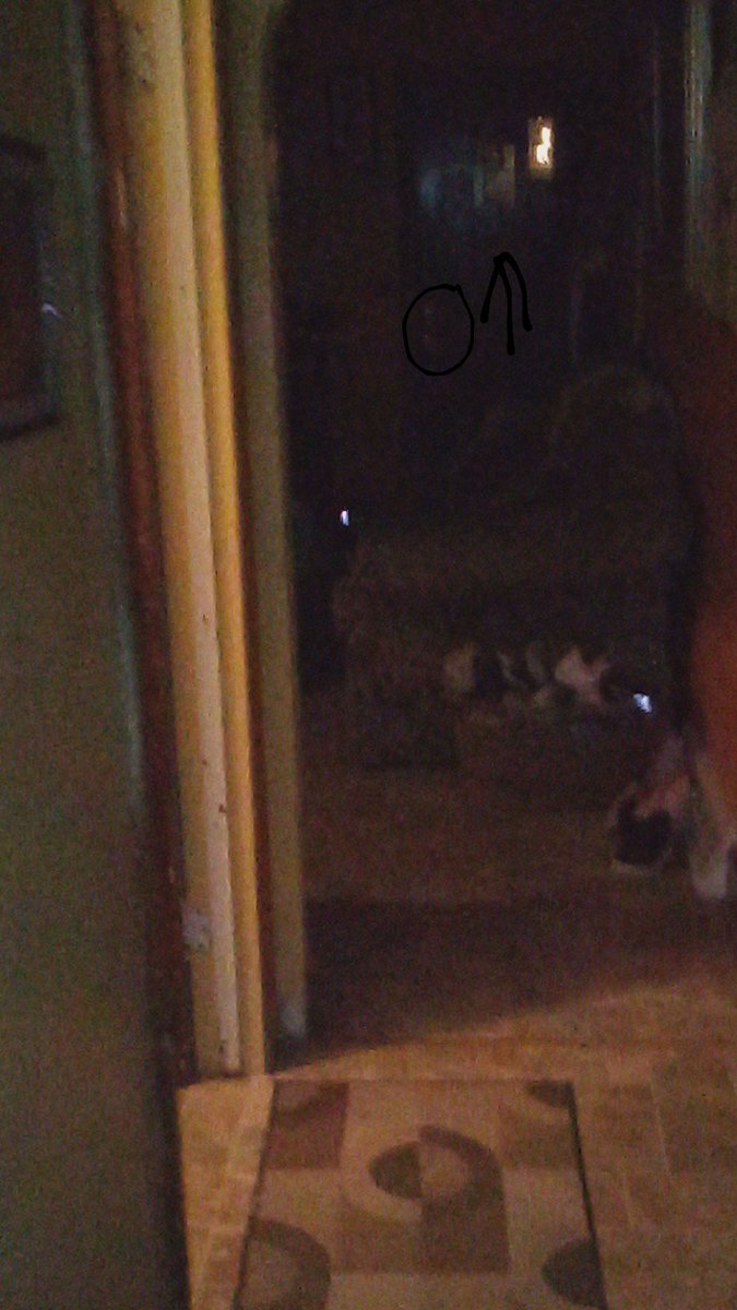 This is following last