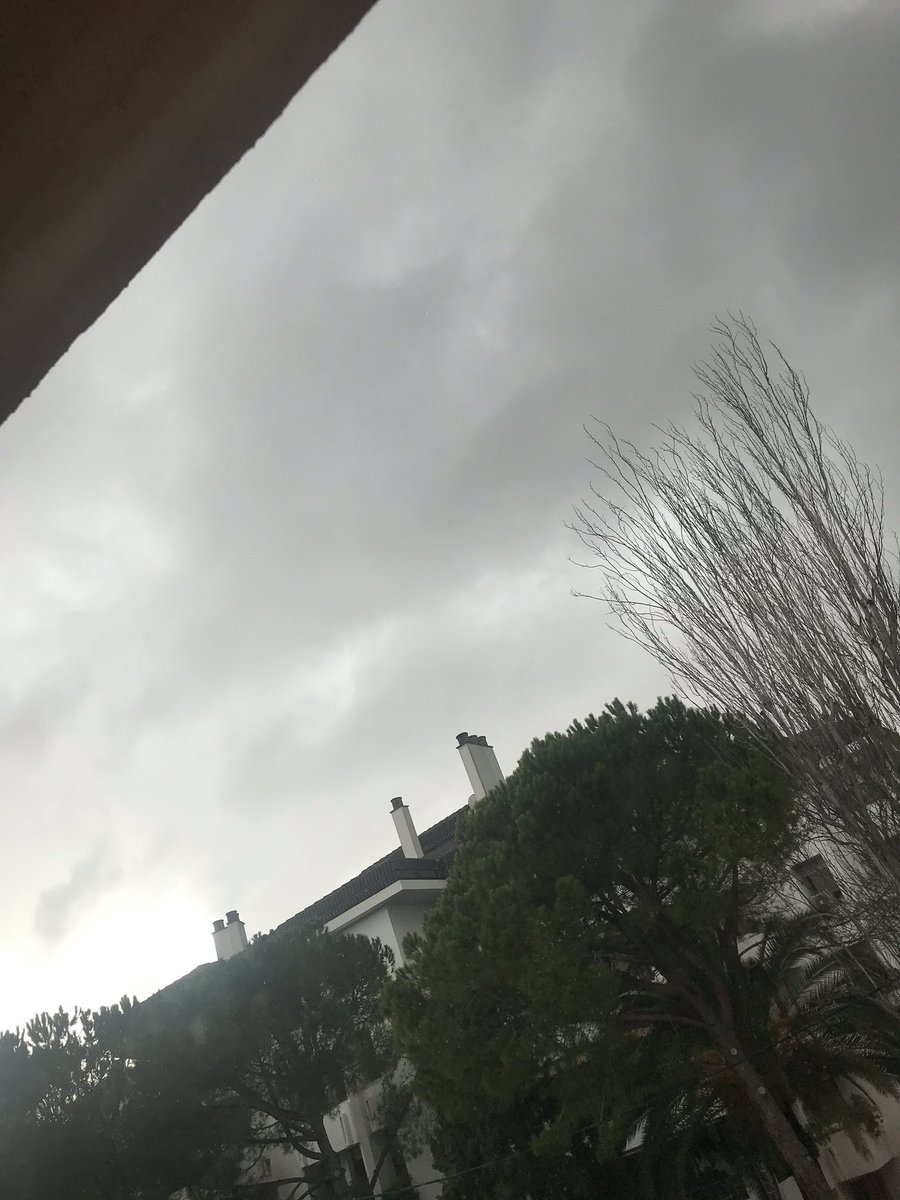 ClubPatiPalma's tweet photo. #clasesCPP

Cancelamos todas las ckases de hoy por slerta meteorológica https://t.co/NC2azFgpsc