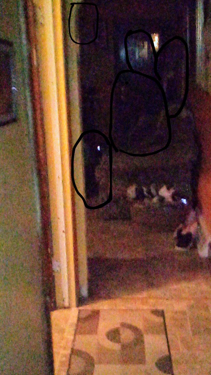 Several different things in this one one has red eyes